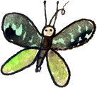 schmetterling