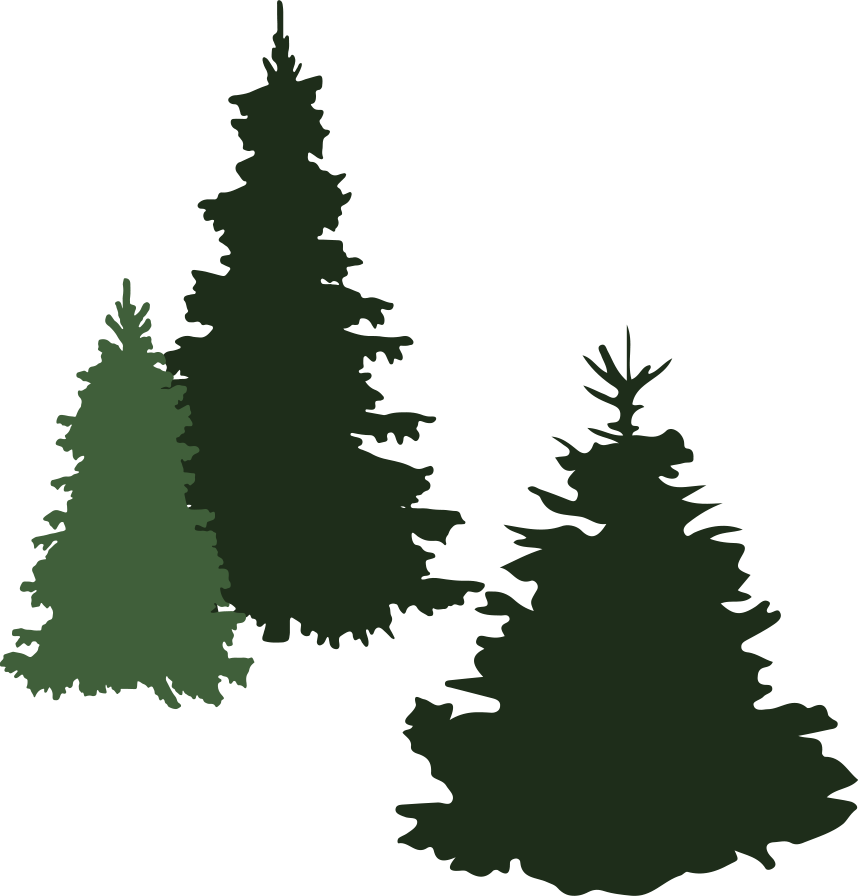 Baum