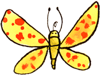 schmetterling